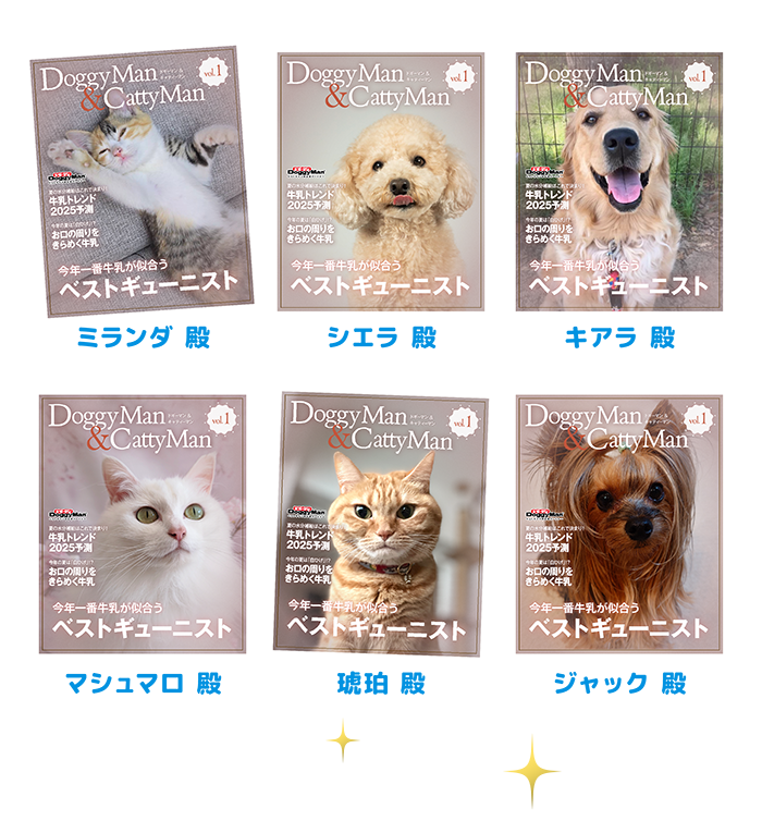 雑誌風フレーム優秀作品