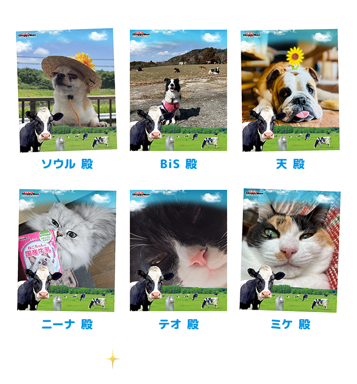 乳牛フレーム優秀作品