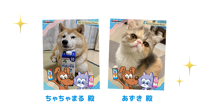 キャラクターフレーム優秀作品